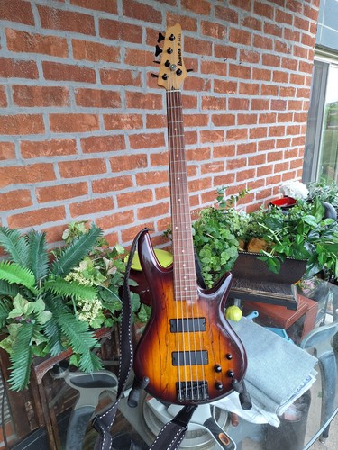 Ibanez string hybrid - hybrid, bass