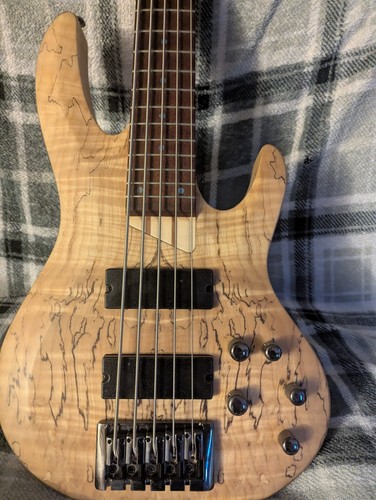 Esp ltd 205sm - ltd, fretless