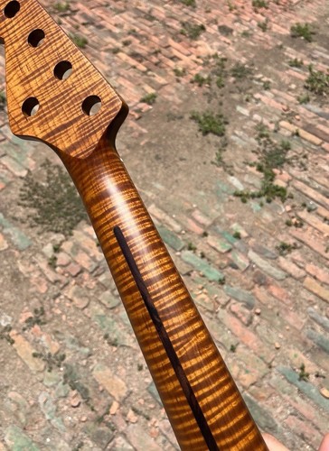 String 21frets roasted flame - 5-string,