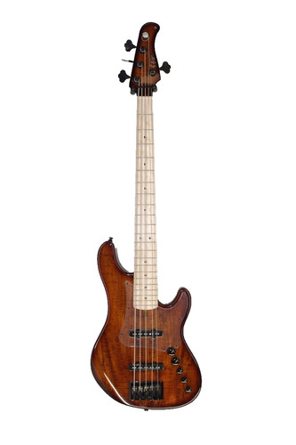 Missing tuner cort gb - cort,