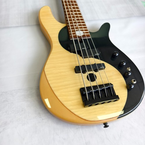 Spot 5 string electric - 5,